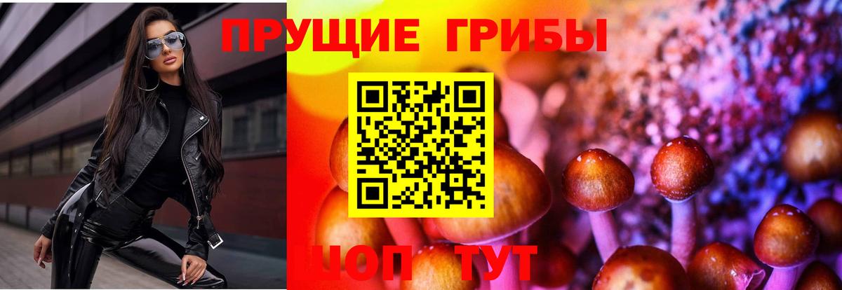 наркотики  Галлюциногенные грибы мицелий  Туапсе  Вход с VPN  Псилоцибиновые грибы GOLDEN TEACHER 